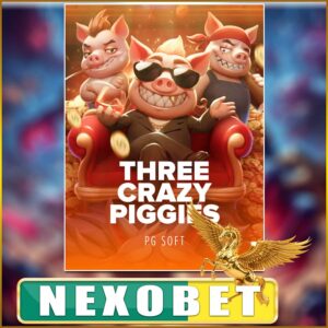 THREE CRAZY PIGGIES